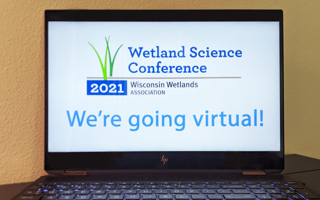 2021 Conference announcement: Wetlands go virtual!