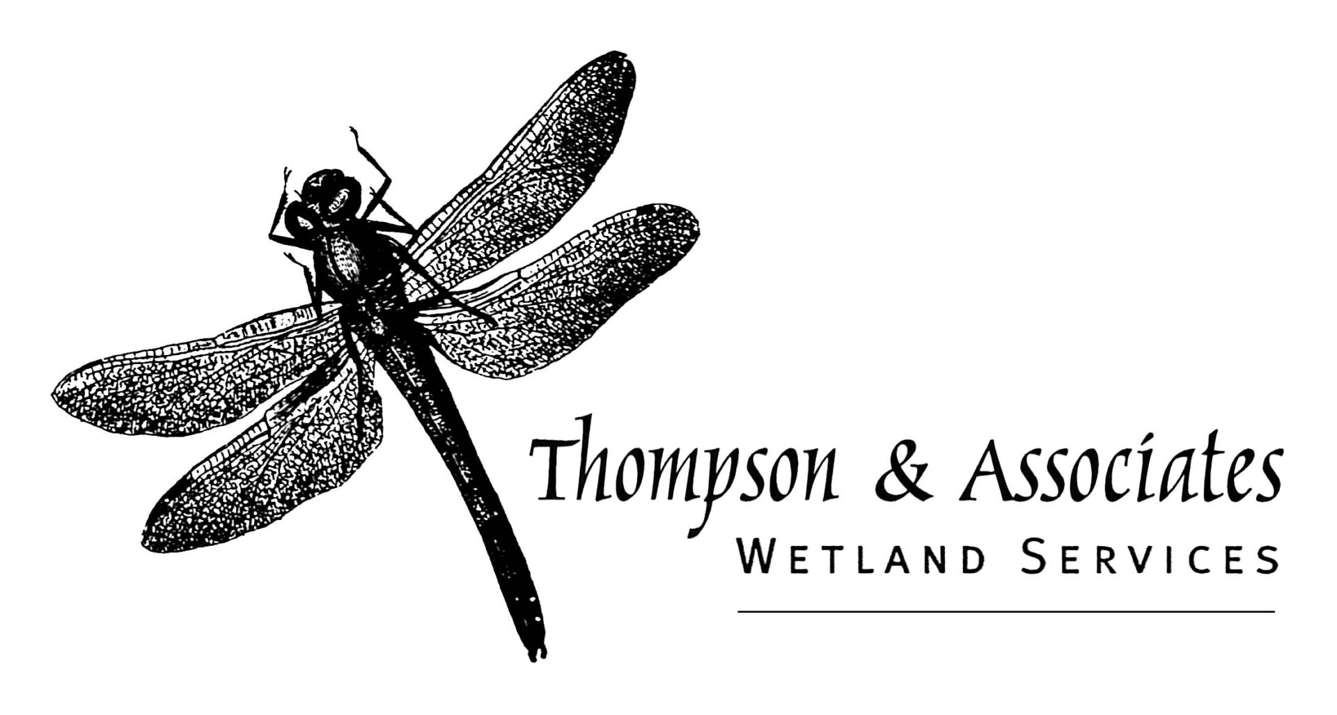 Thompson & Associates Wetland Services logo with black and grey dragonfly