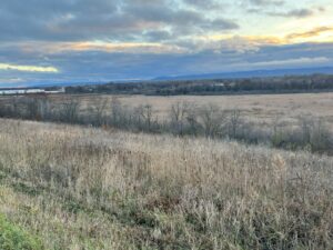 An 'aerial' view of Halfway Creek Marsh from CTH ZM, looking southwest towards the airport. In the foreground is Midway Prairie, a high quality hill prairie. The row of trees is along the bike trail. The marsh is the lowland behind the trees. 